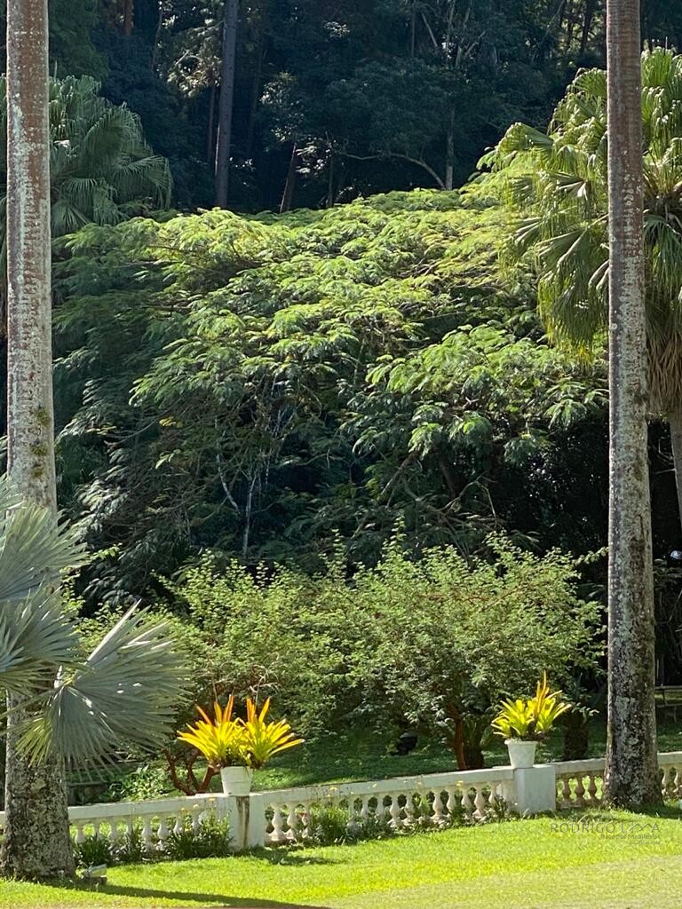 Fazenda histórica para venda na região de Santa Rita de Jacutinga MG