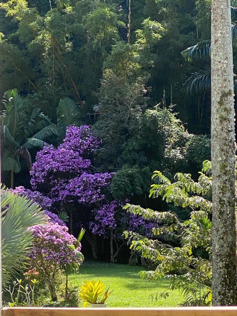 Fazenda histórica para venda na região de Santa Rita de Jacutinga MG