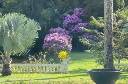Fazenda histórica para venda na região de Santa Rita de Jacutinga MG