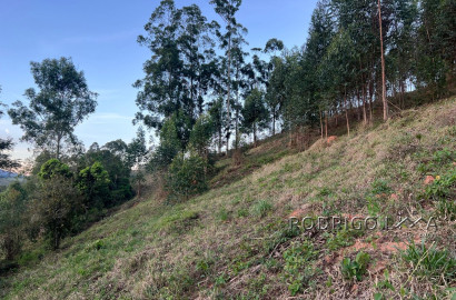 Linda área para venda em Dom Viçoso - MG.