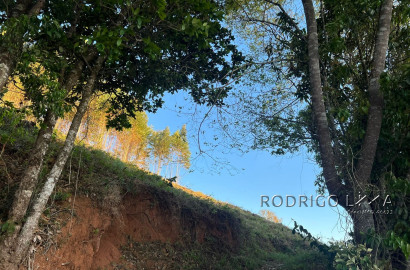 Linda área para venda em Dom Viçoso - MG.