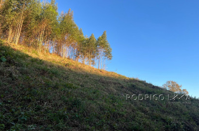 Linda área para venda em Dom Viçoso - MG.