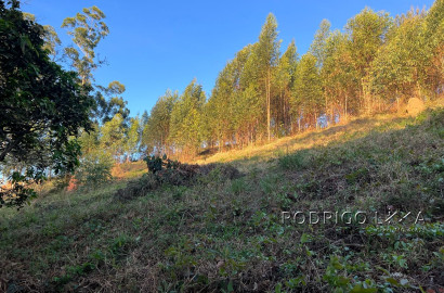Linda área para venda em Dom Viçoso - MG.