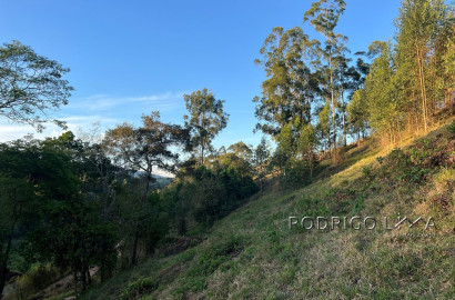 Linda área para venda em Dom Viçoso - MG.