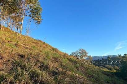 Linda área para venda em Dom Viçoso - MG.
