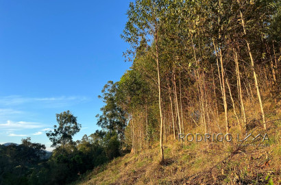 Linda área para venda em Dom Viçoso - MG.