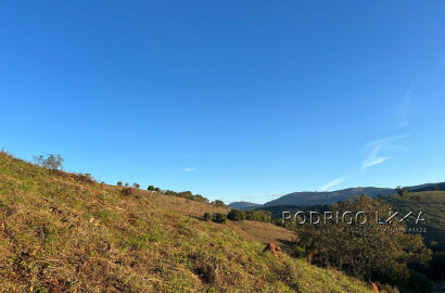 Linda área para venda em Dom Viçoso - MG.