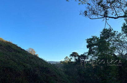 Linda área para venda em Dom Viçoso - MG.
