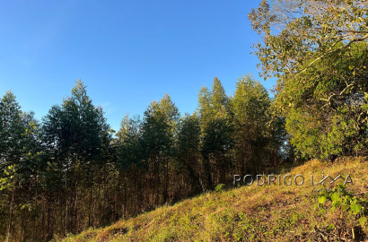 Linda área para venda em Dom Viçoso - MG.