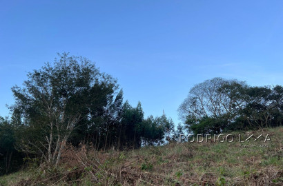 Linda área para venda em Dom Viçoso - MG.