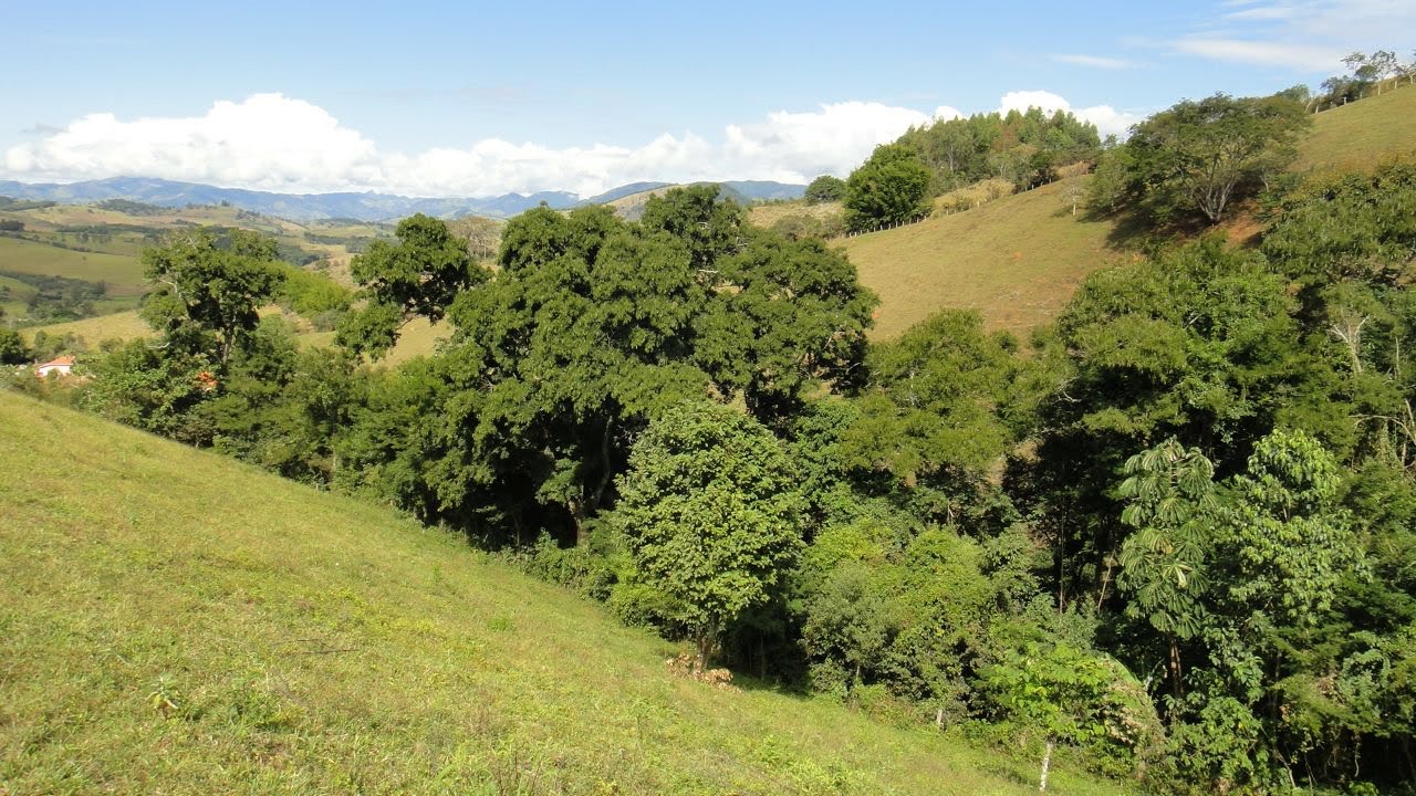Área rural para venda há 15 minutos de São Lourenço - MG.