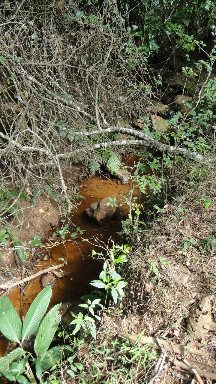 Área rural para venda há 15 minutos de São Lourenço - MG.