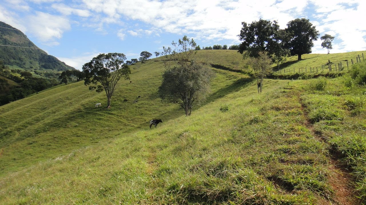 Área rural para venda há 15 minutos de São Lourenço - MG.