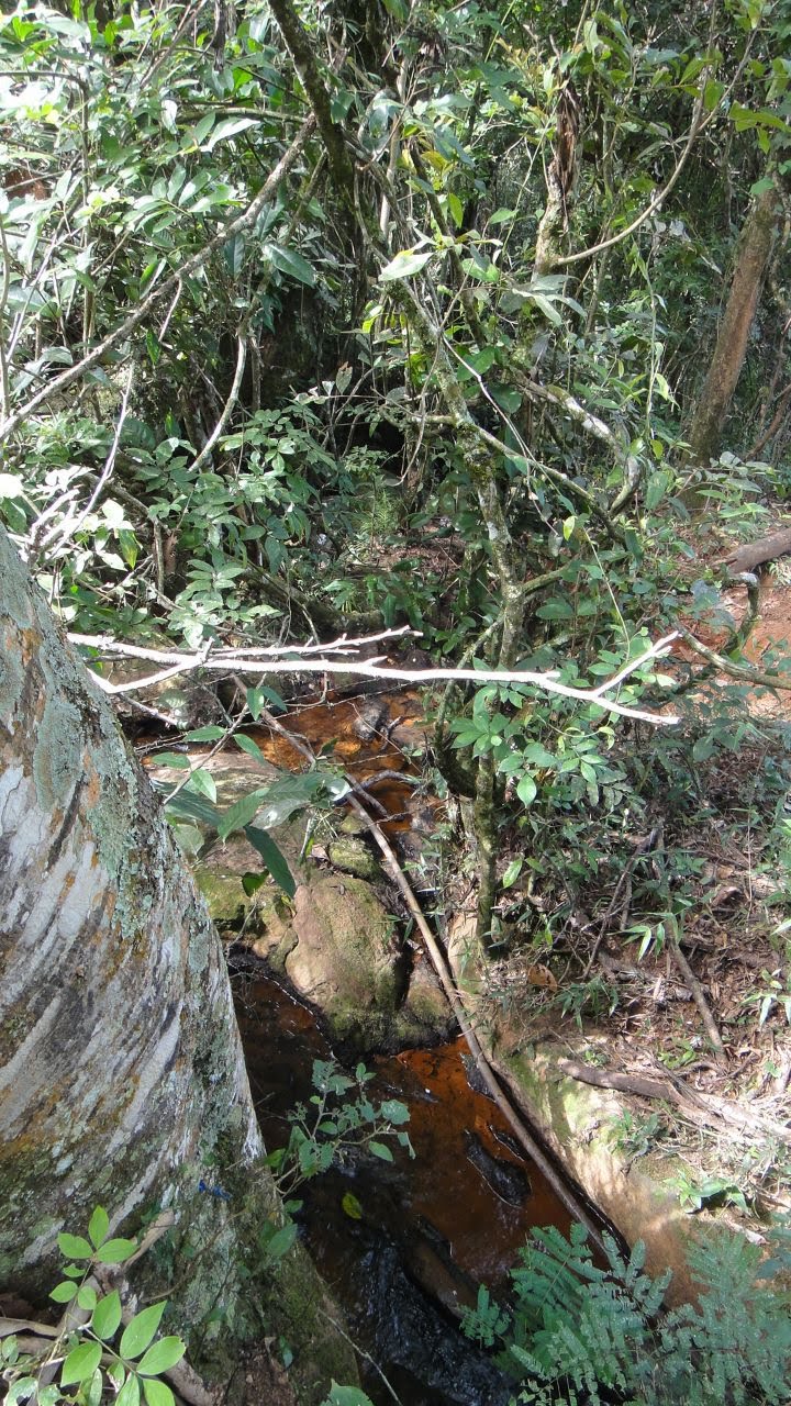 Área rural para venda há 15 minutos de São Lourenço - MG.