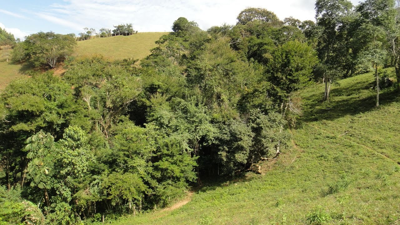 Área rural para venda há 15 minutos de São Lourenço - MG.