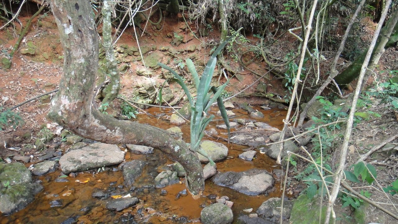 Área rural para venda há 15 minutos de São Lourenço - MG.