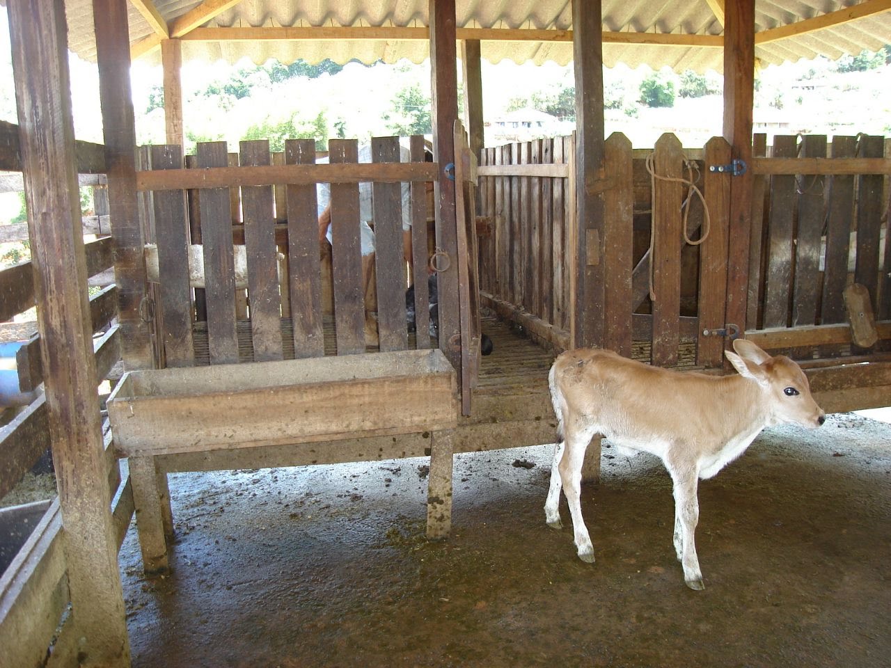 Área rural para venda há 15 minutos de São Lourenço - MG.