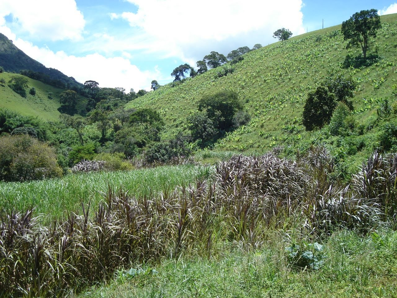 Área rural para venda há 15 minutos de São Lourenço - MG.