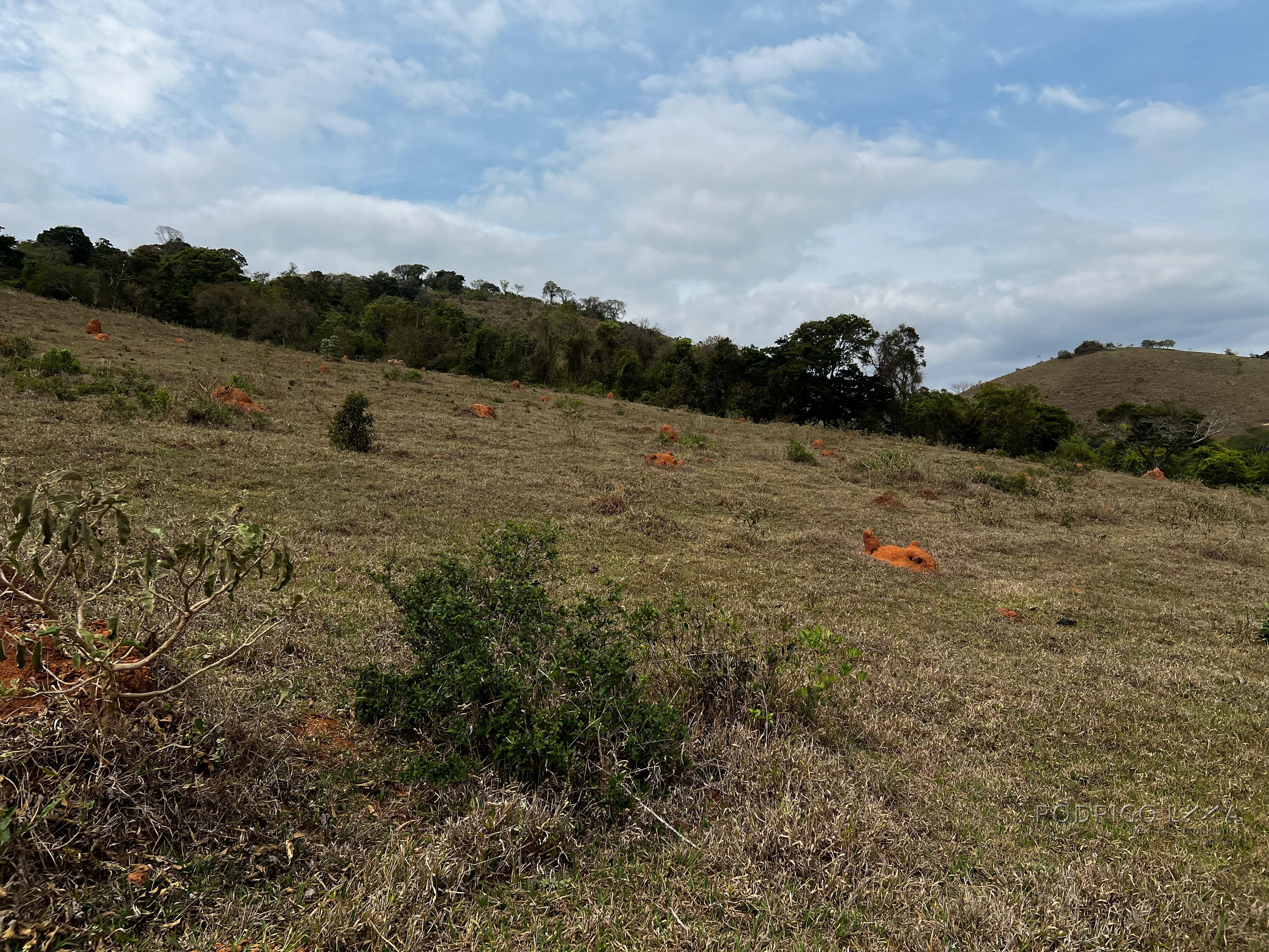 Área rural para venda próximo a São Lourenço MG.