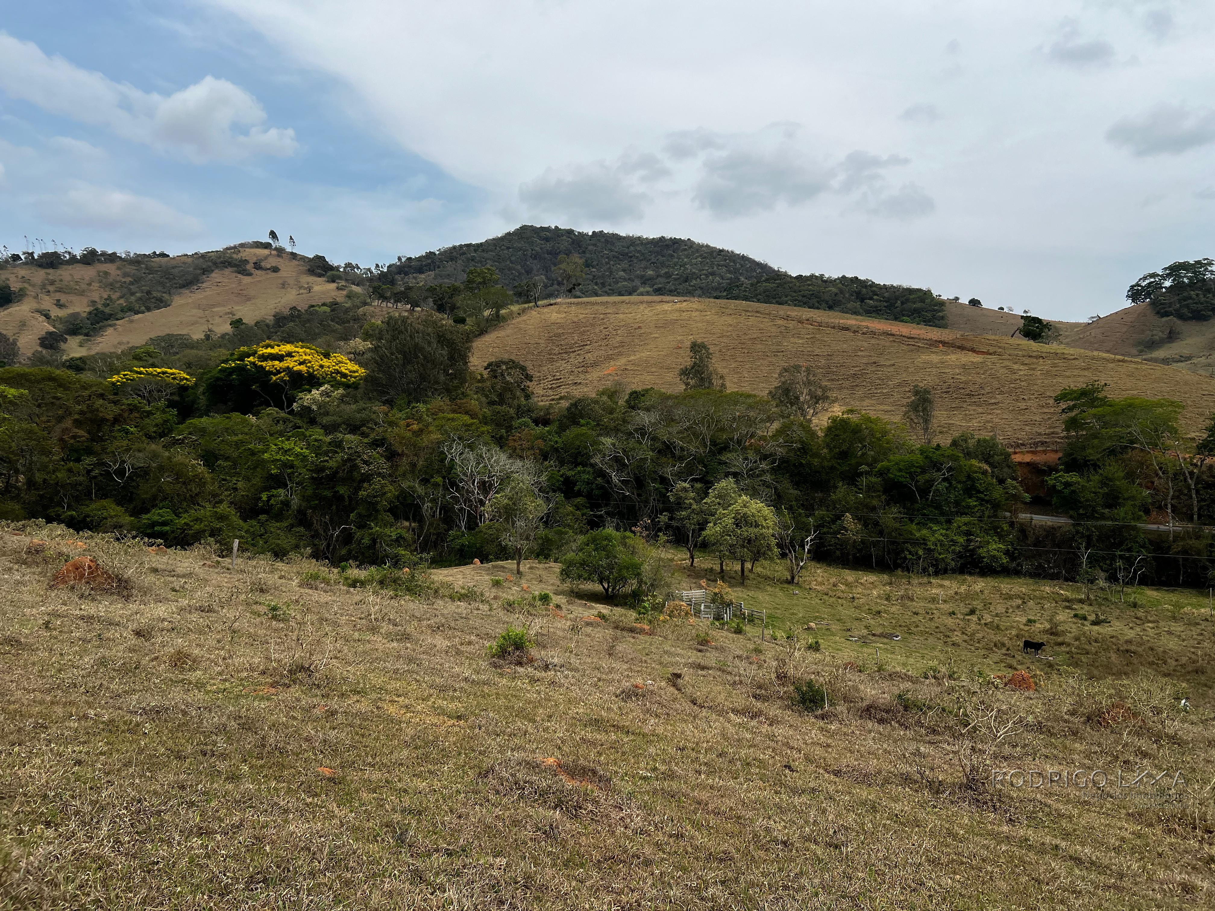 Área rural para venda próximo a São Lourenço MG.