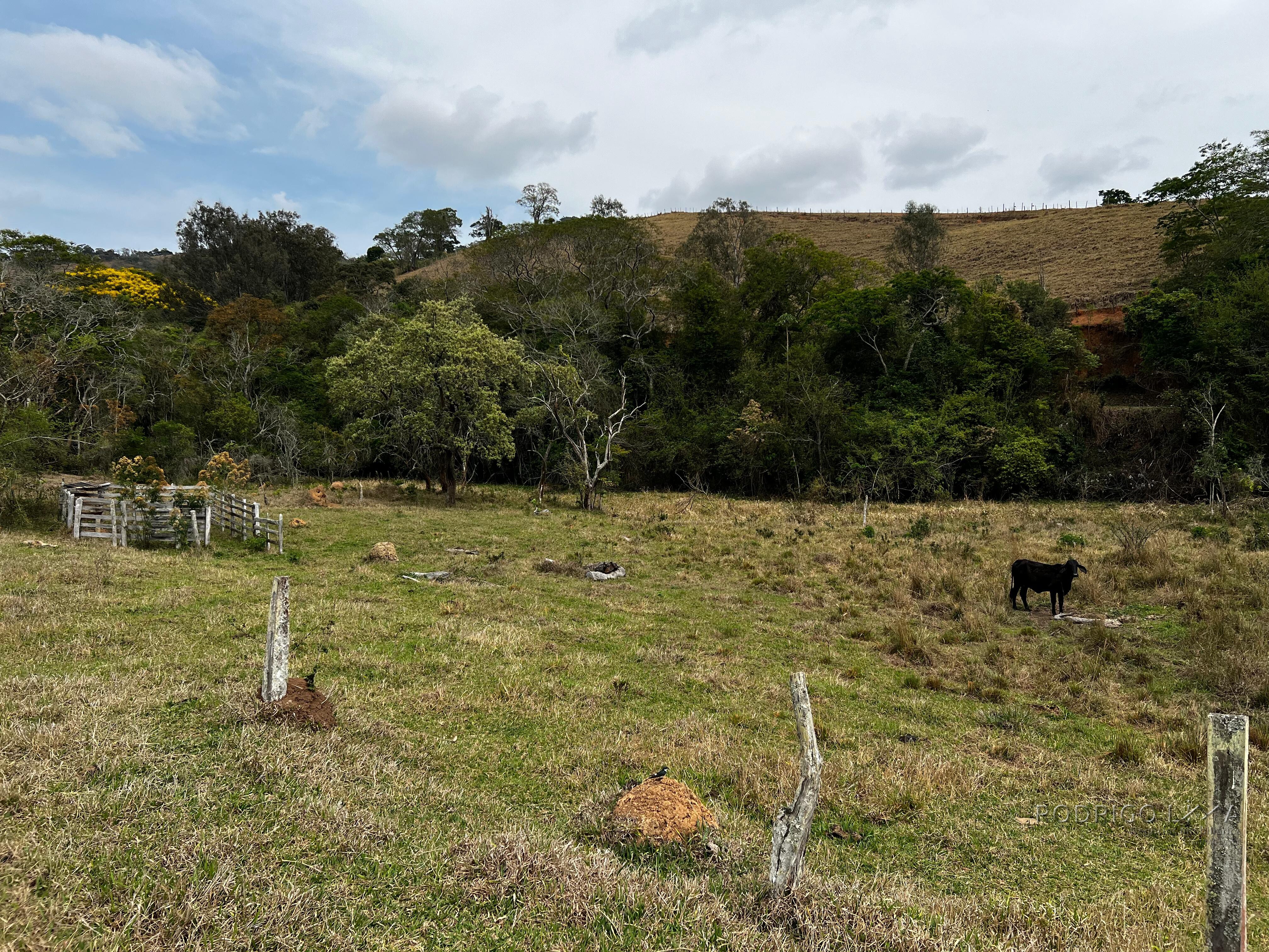 Área rural para venda próximo a São Lourenço MG.
