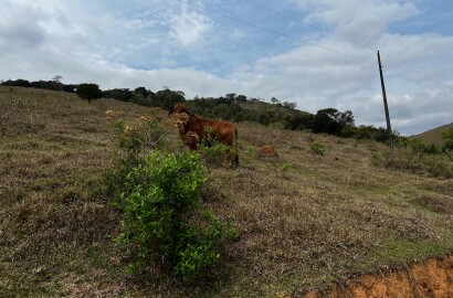 Área rural para venda próximo a São Lourenço MG.