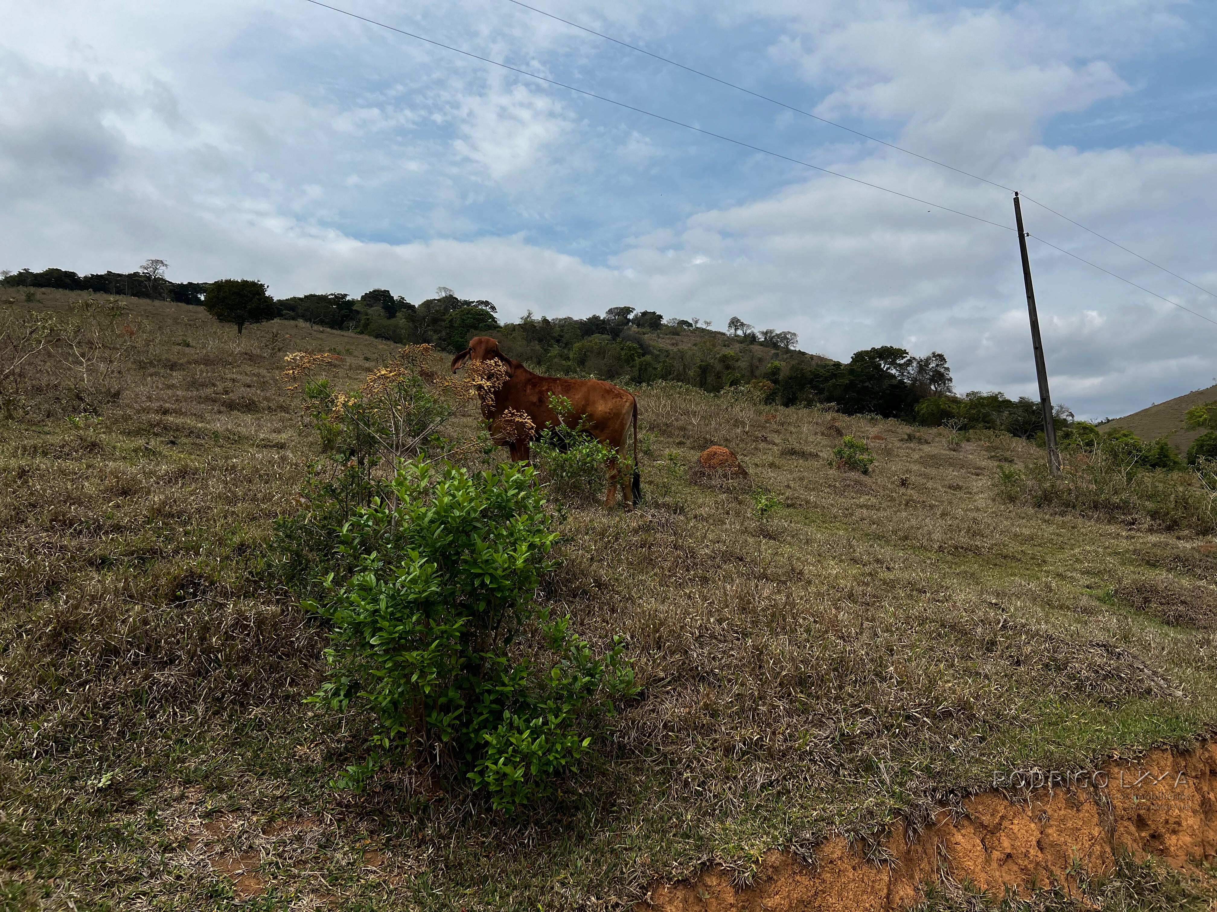 Área rural para venda próximo a São Lourenço MG.