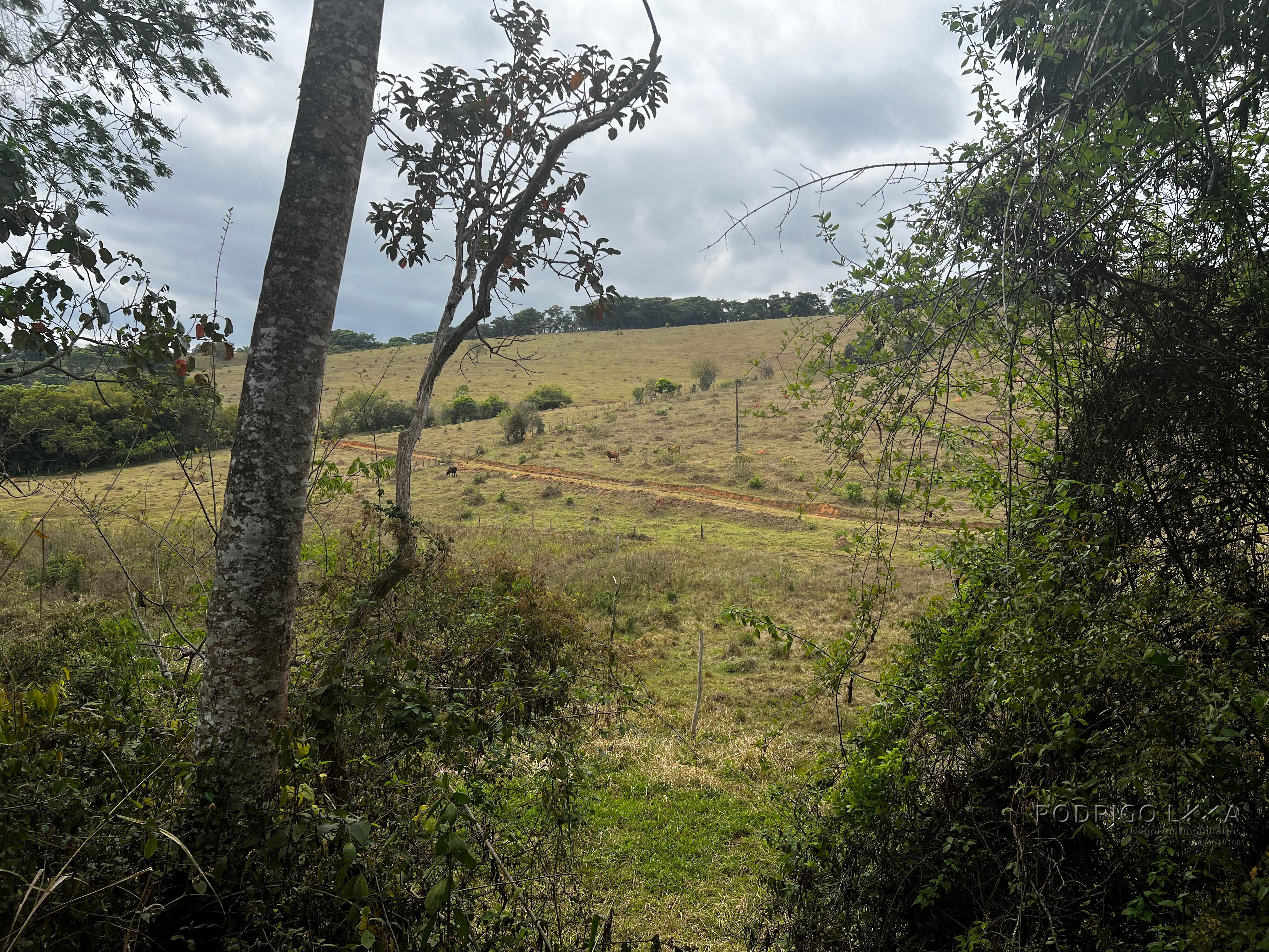 Área rural para venda próximo a São Lourenço MG.
