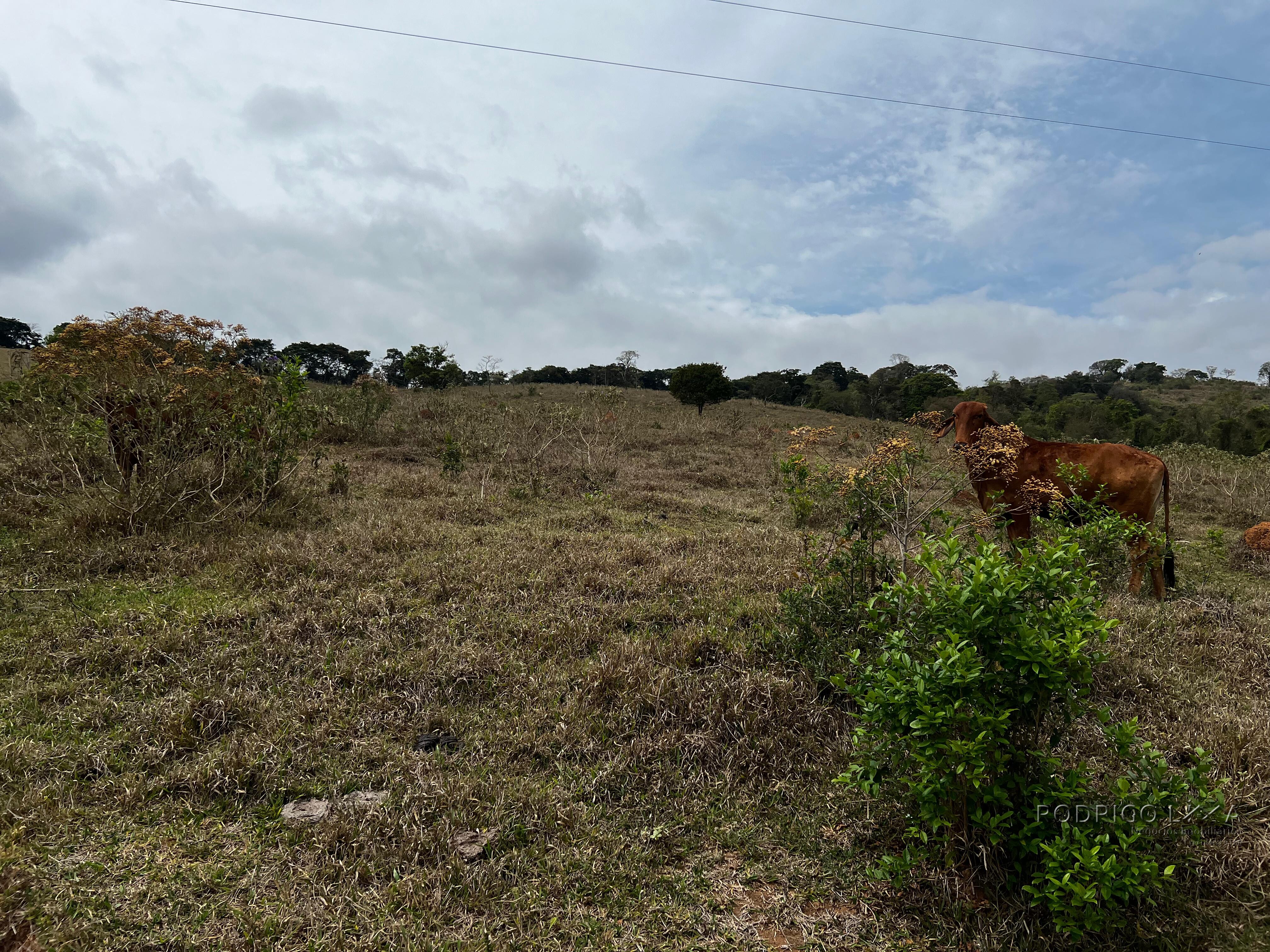 Área rural para venda próximo a São Lourenço MG.