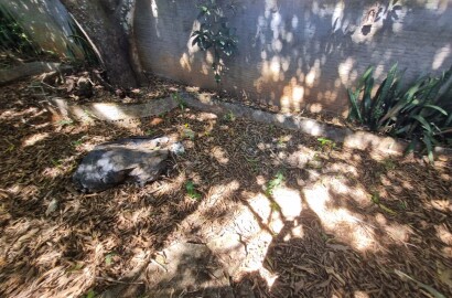Casa a venda em São Lourenço MG