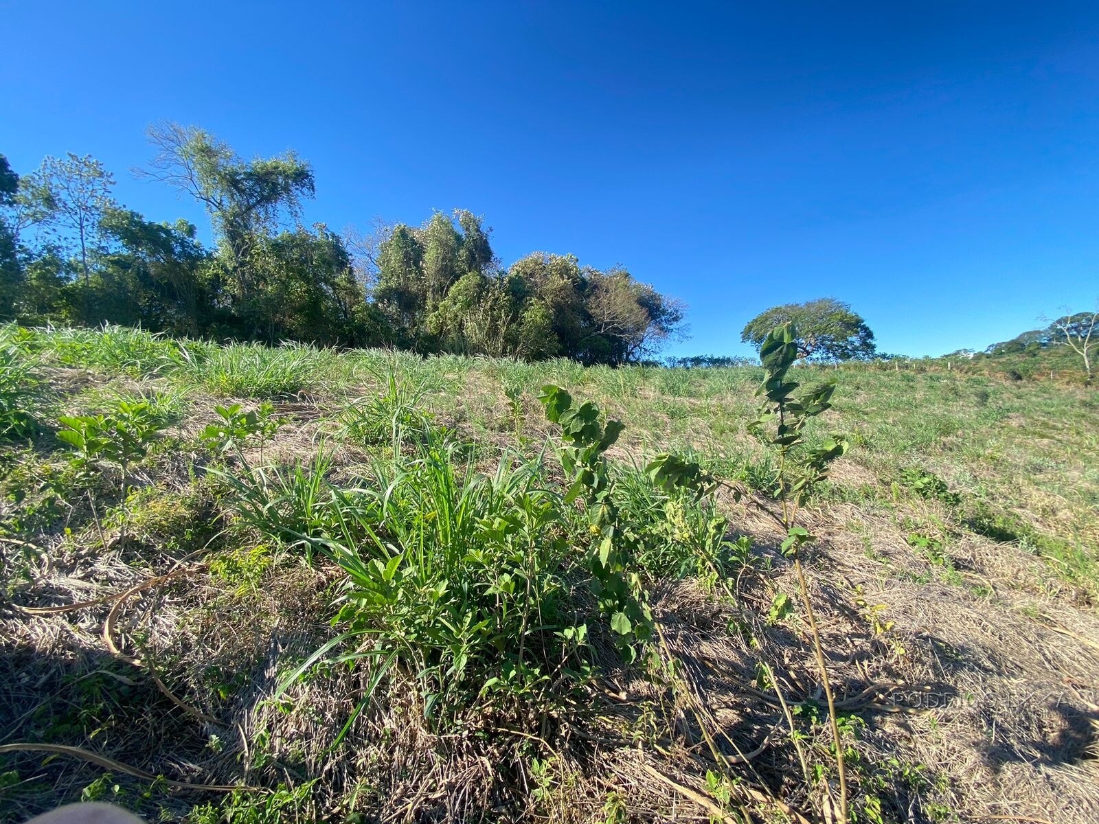 Linda chácara para venda próximo a São Lourenço - MG.