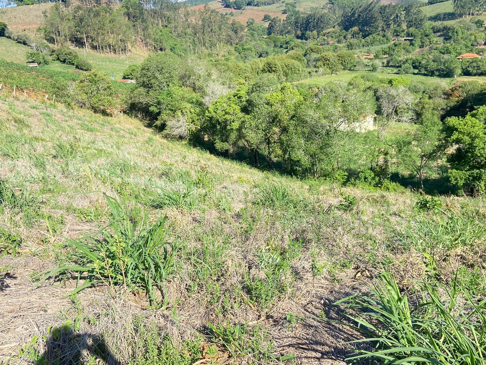 Linda chácara para venda próximo a São Lourenço - MG.