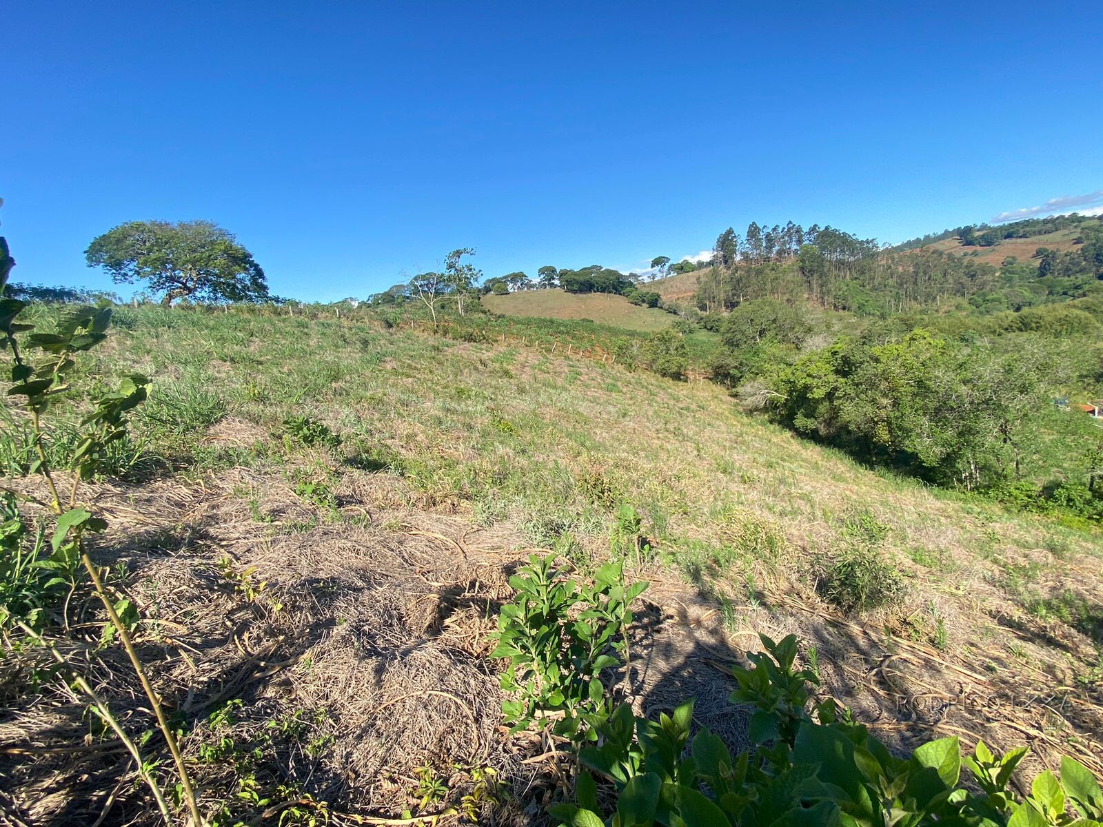 Linda chácara para venda próximo a São Lourenço - MG.