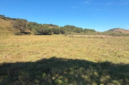 Área Rural para venda em Freitas próximo a Soledade de Minas MG