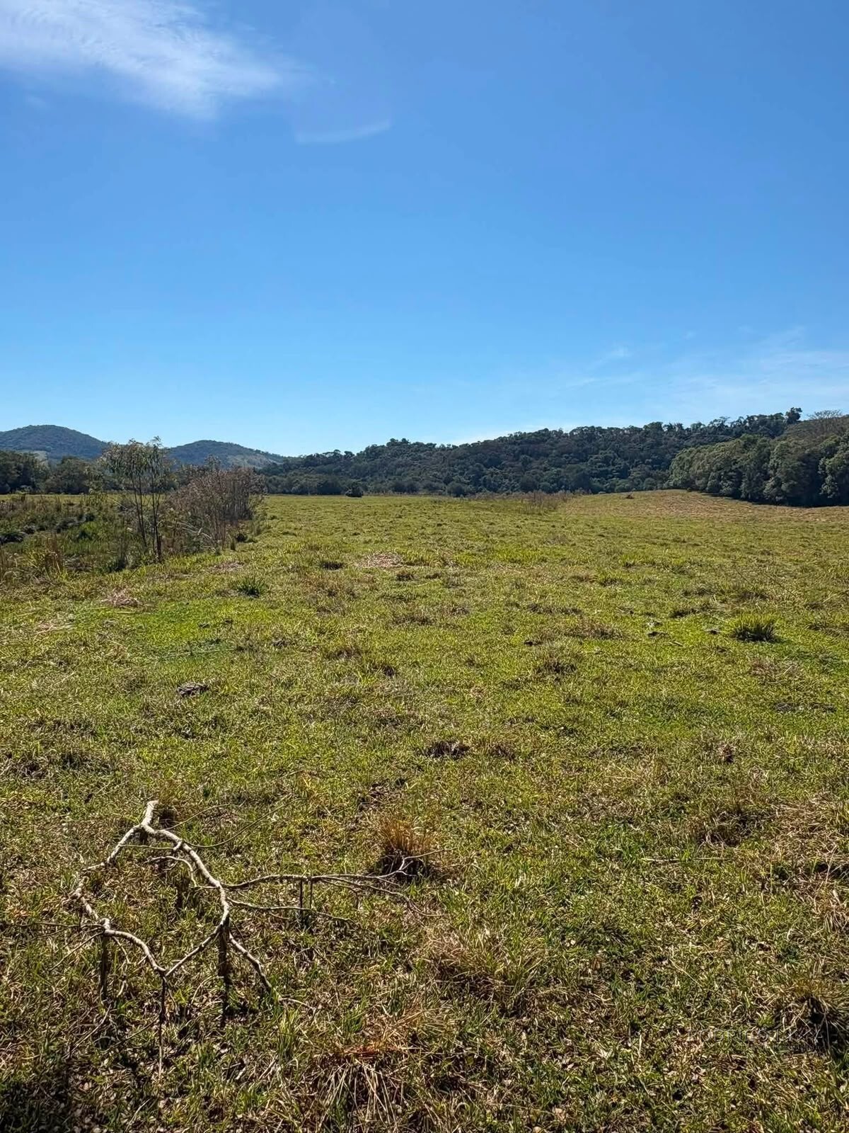 Área Rural para venda em Freitas próximo a Soledade de Minas MG