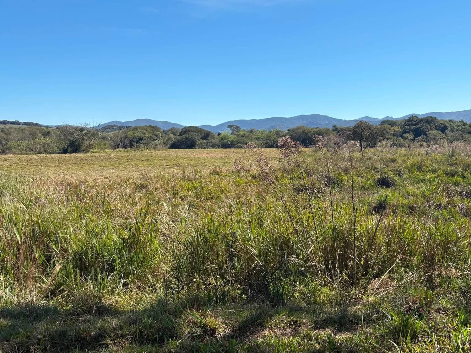 Área Rural para venda em Freitas próximo a Soledade de Minas MG