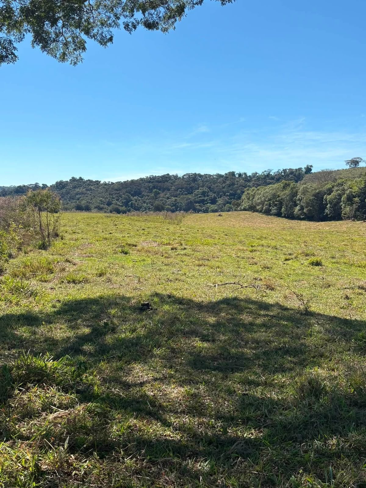 Área Rural para venda em Freitas próximo a Soledade de Minas MG