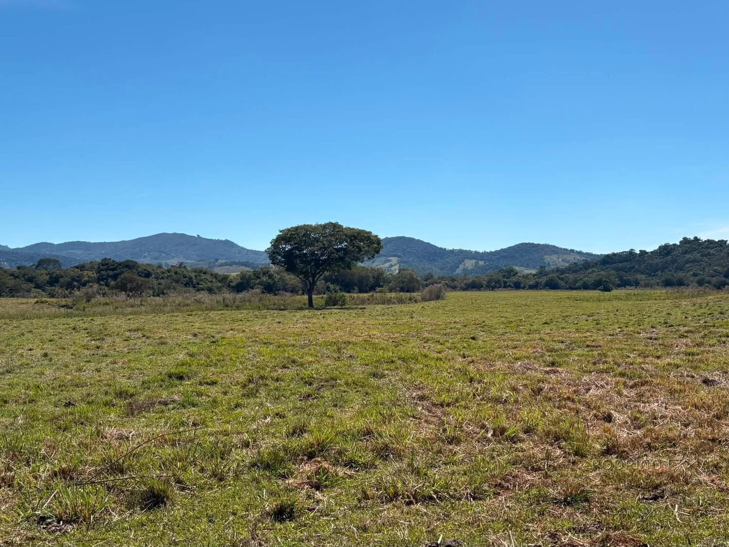 Área Rural para venda em Freitas próximo a Soledade de Minas MG
