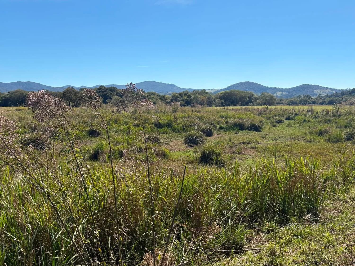 Área Rural para venda em Freitas próximo a Soledade de Minas MG