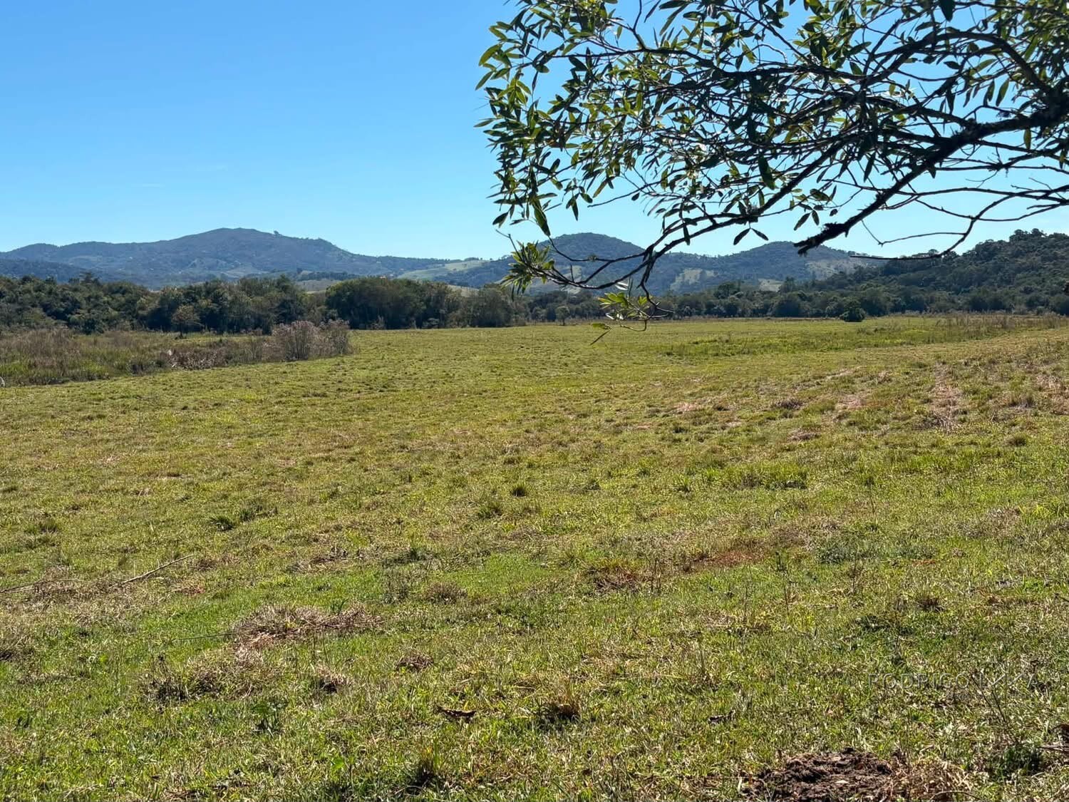 Área Rural para venda em Freitas próximo a Soledade de Minas MG