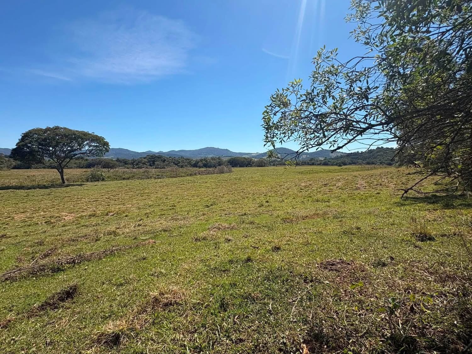 Área Rural para venda em Freitas próximo a Soledade de Minas MG