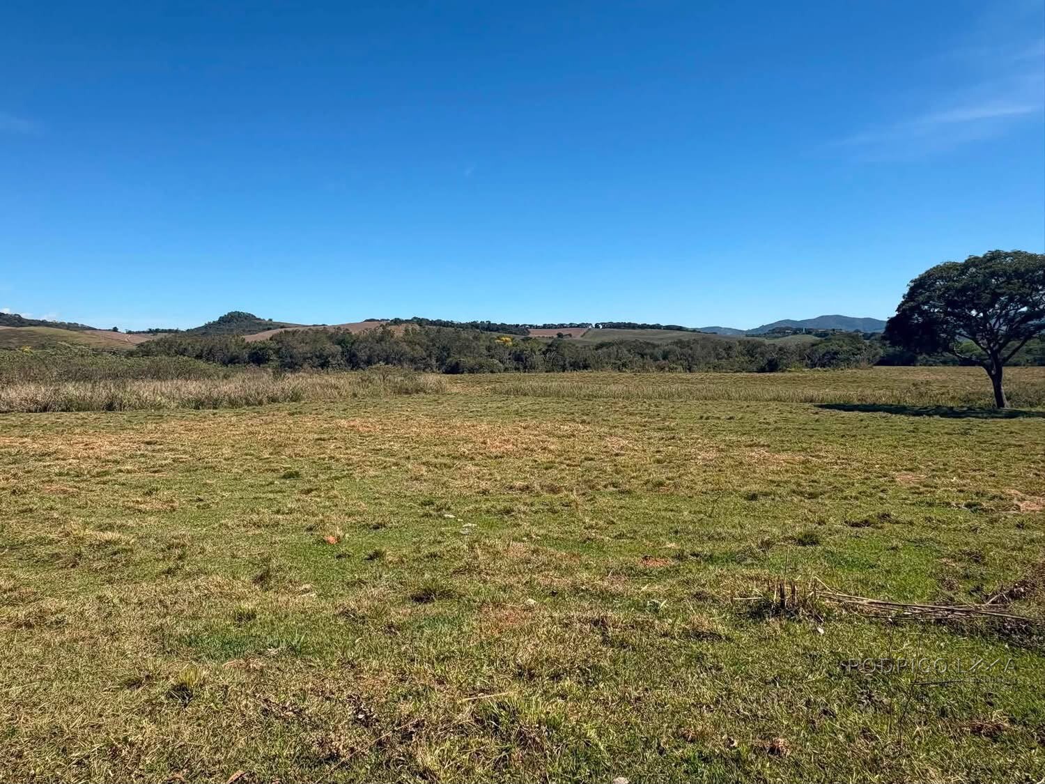 Área Rural para venda em Freitas próximo a Soledade de Minas MG