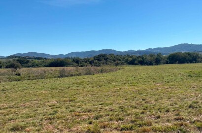 Área Rural para venda em Freitas próximo a Soledade de Minas MG
