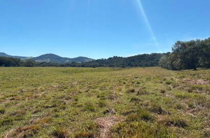 Área Rural para venda em Freitas próximo a Soledade de Minas MG