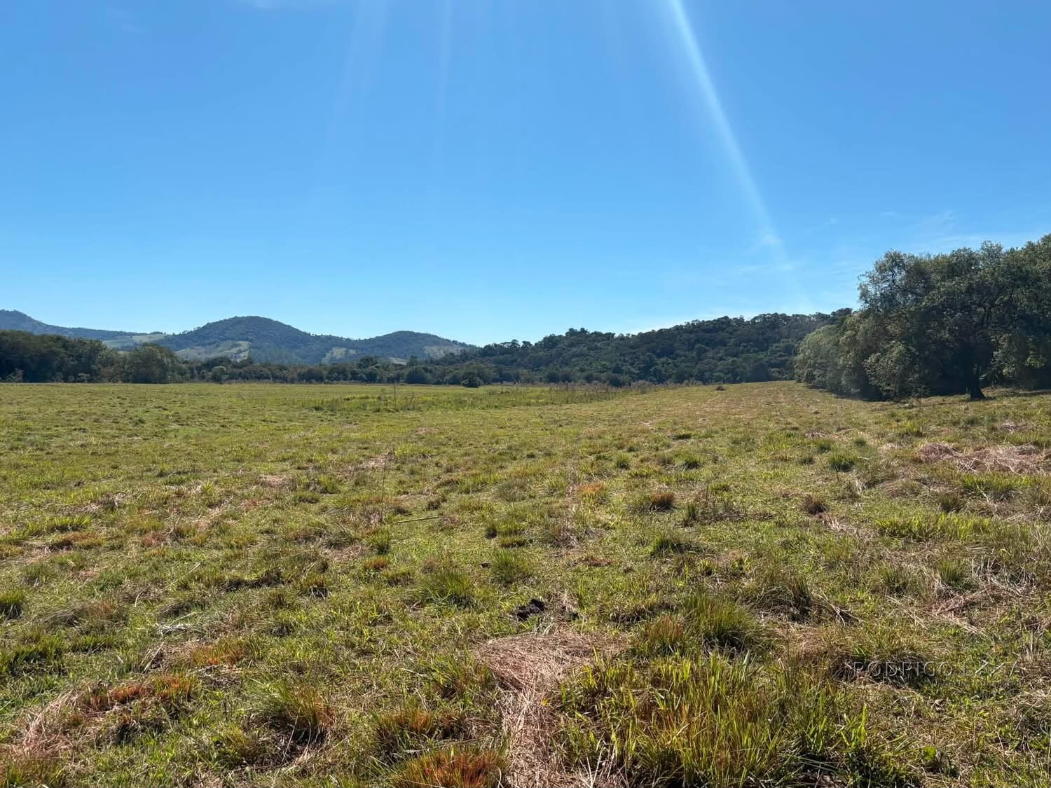 Área Rural para venda em Freitas próximo a Soledade de Minas MG
