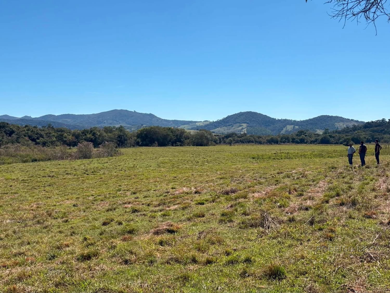Área Rural para venda em Freitas próximo a Soledade de Minas MG