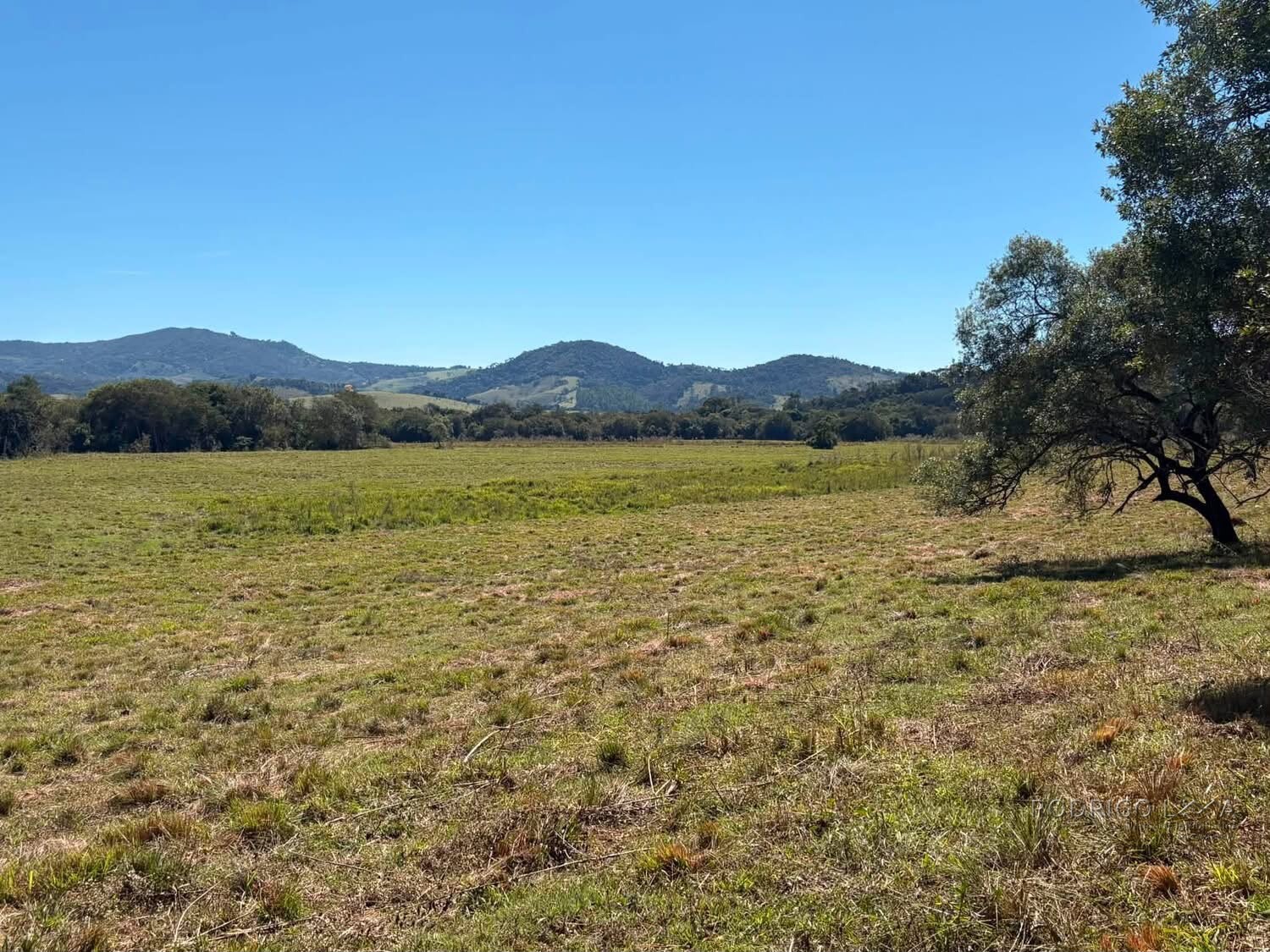 Área Rural para venda em Freitas próximo a Soledade de Minas MG