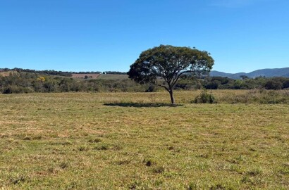 Área Rural para venda em Freitas próximo a Soledade de Minas MG