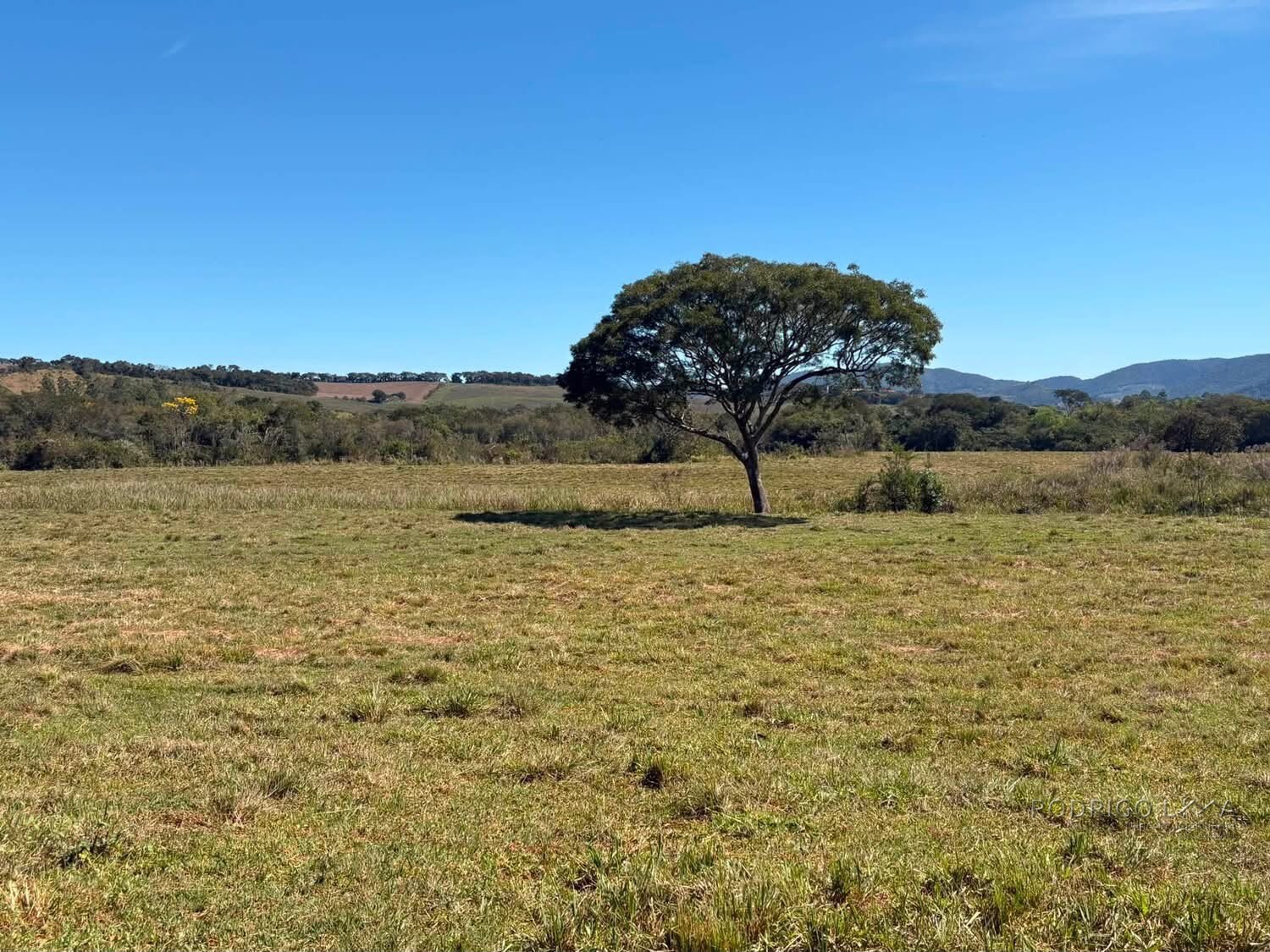 Área Rural para venda em Freitas próximo a Soledade de Minas MG