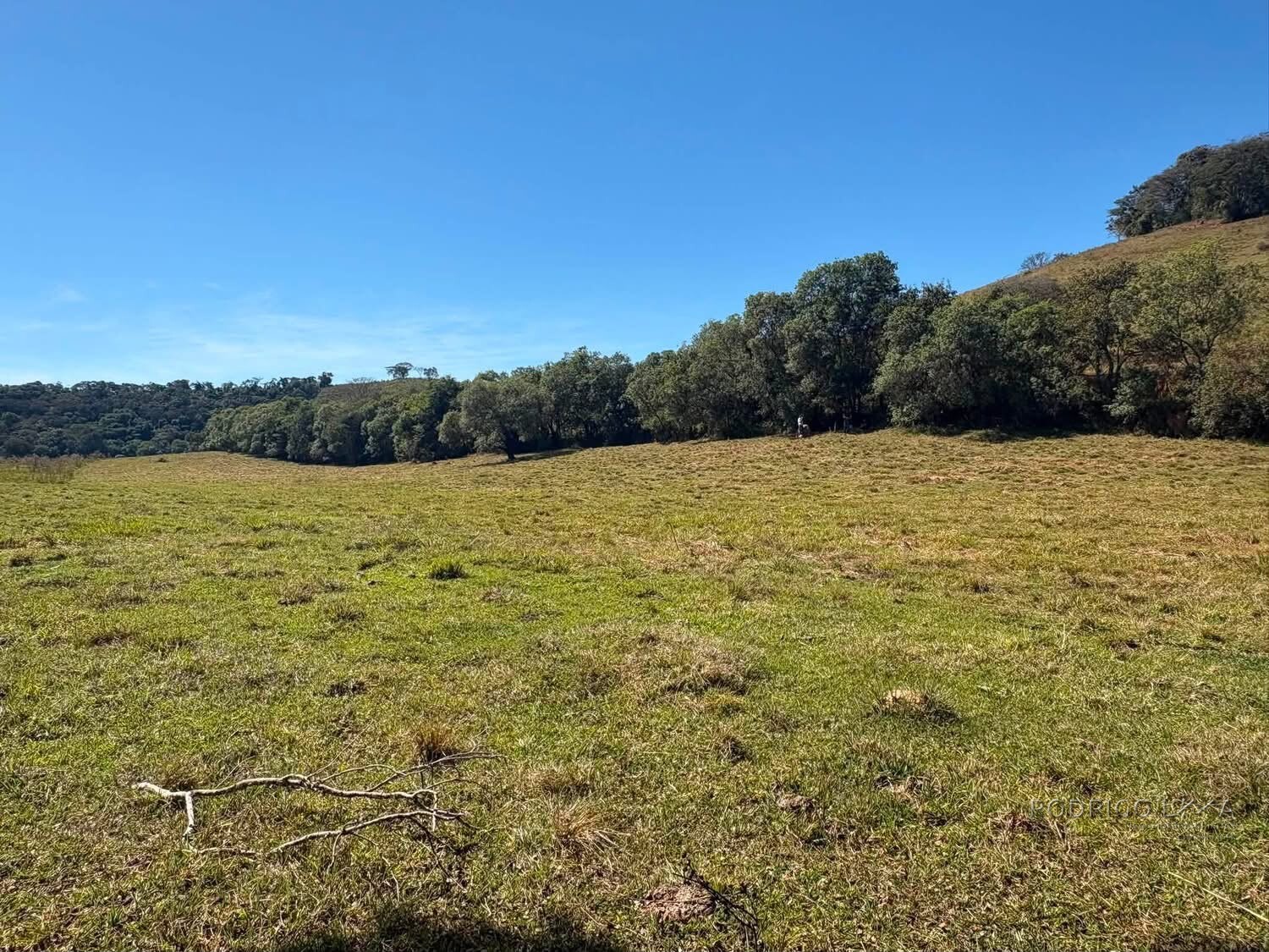 Área Rural para venda em Freitas próximo a Soledade de Minas MG